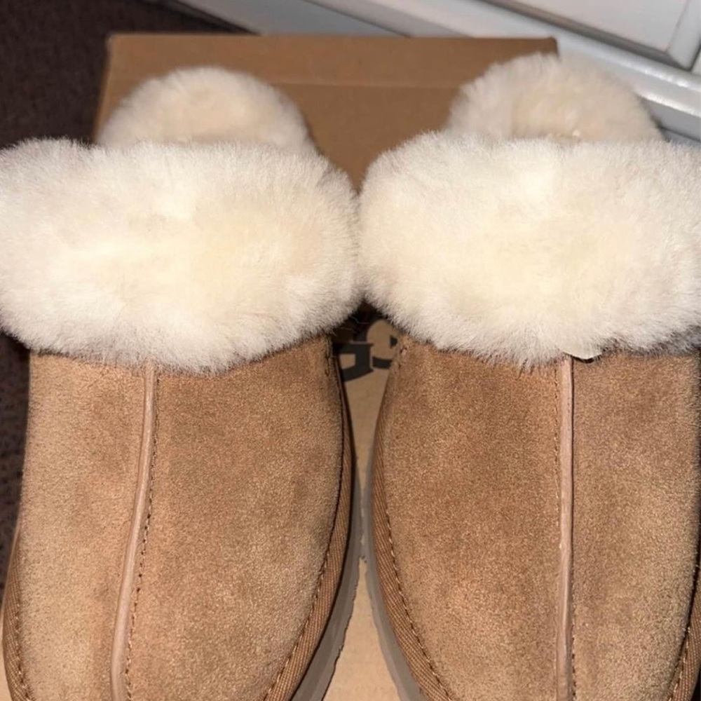 Ugg slippers